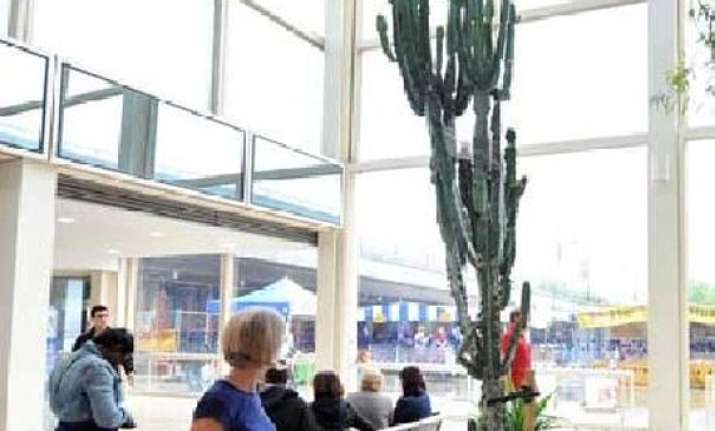 16 foot cactus severely injures us city worker