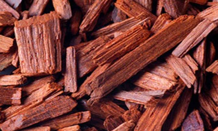 air india staffer held for allegedly smuggling red sanders