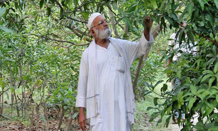 and now namo mango