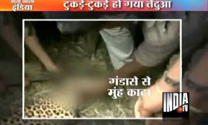 brutal assam villagers cut leopard into pieces for injuring
