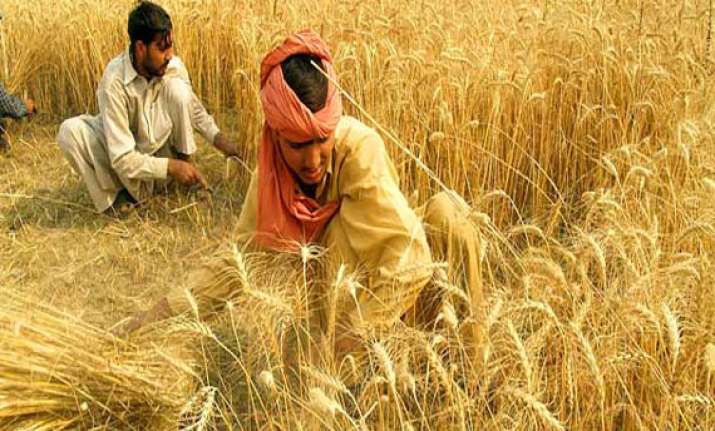 centre asks states to release 2.7 million tonnes of wheat