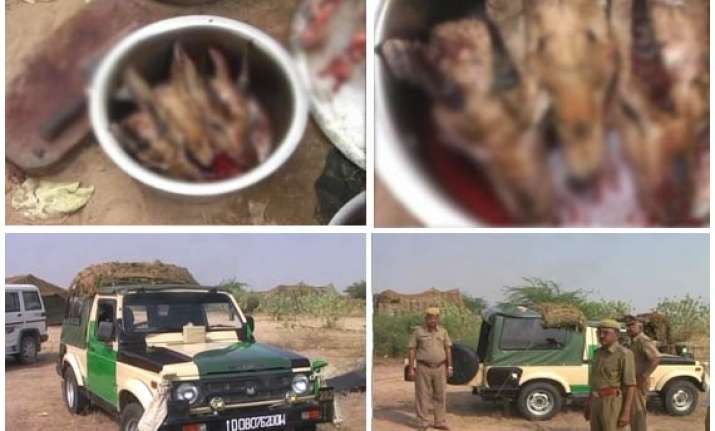 chinkaras found dead in army camp 5 armymen booked