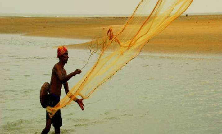 Climate change unites fishermen in Kutch and Sundarbans | India News ...