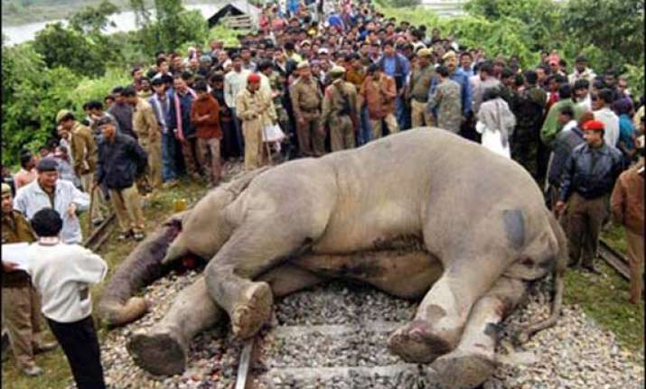 coromandel exp mows down 5 elephants to death in odisha