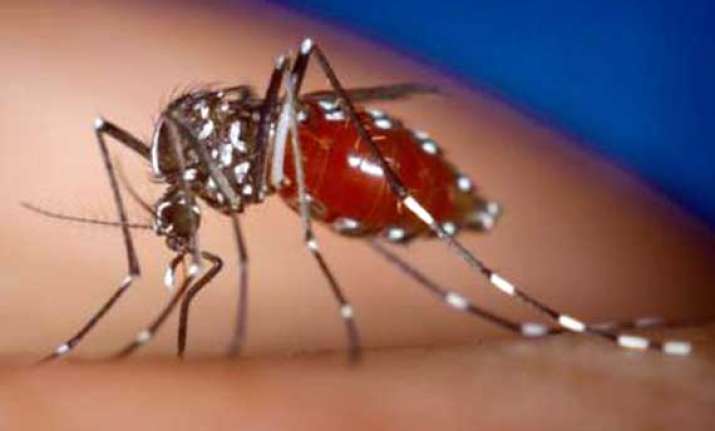 dengue fever returns to delhi one dead