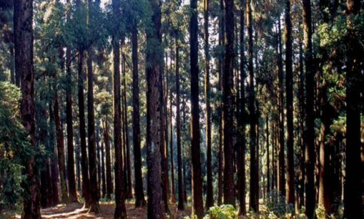 dow hill of kurseong one of india s most haunted places