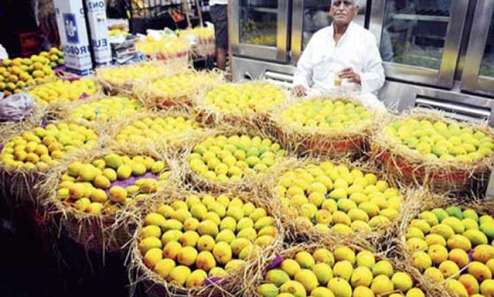 eu ban on indian mango hits maharashtra farmers hard
