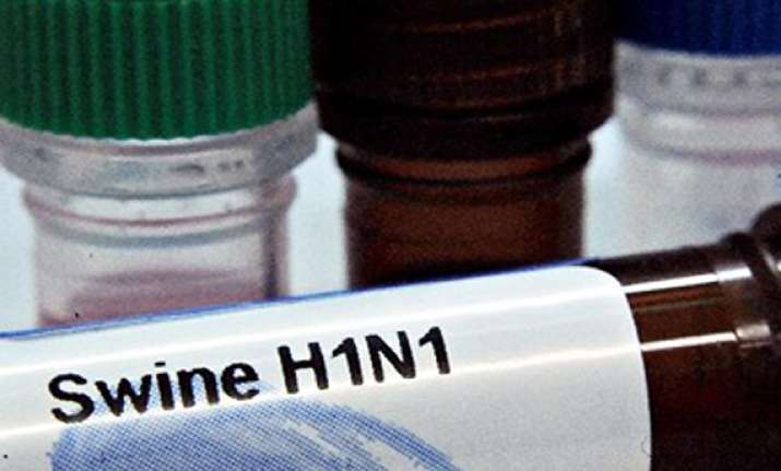 goa issues swine flu alert