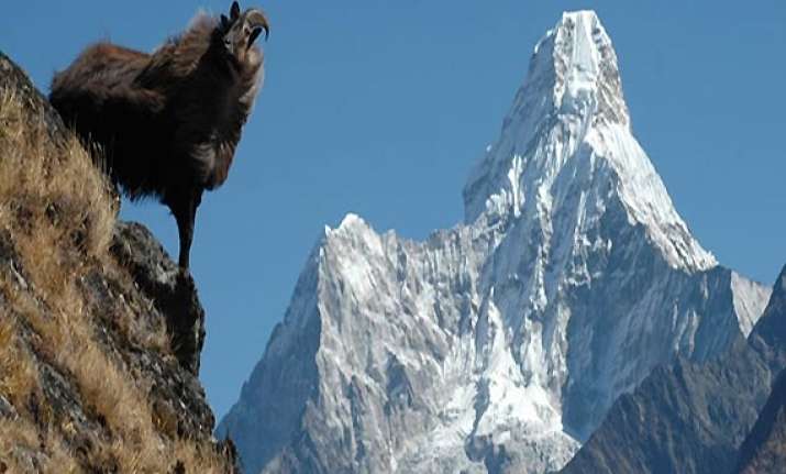 himachal park set for unesco s natural heritage status