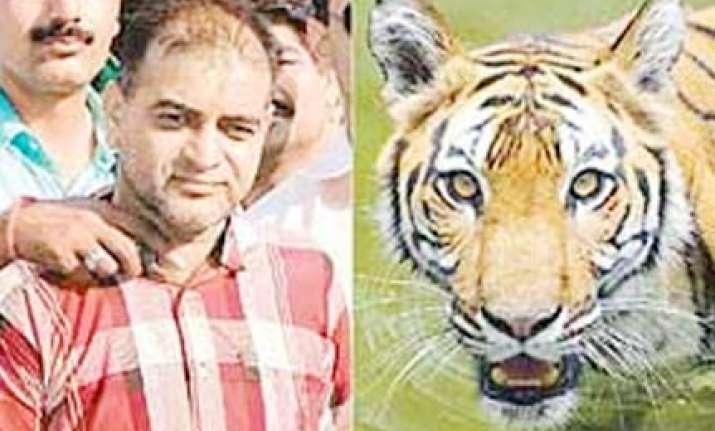 supreme court dismisses poacher sansar chand s appeal