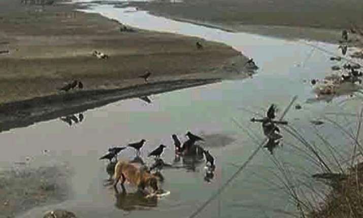 104 bodies found in ganga probe ordered