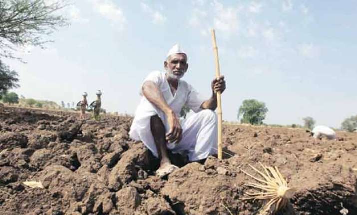 1 000 farmer suicides in maharashtra in 2015 hc suggests