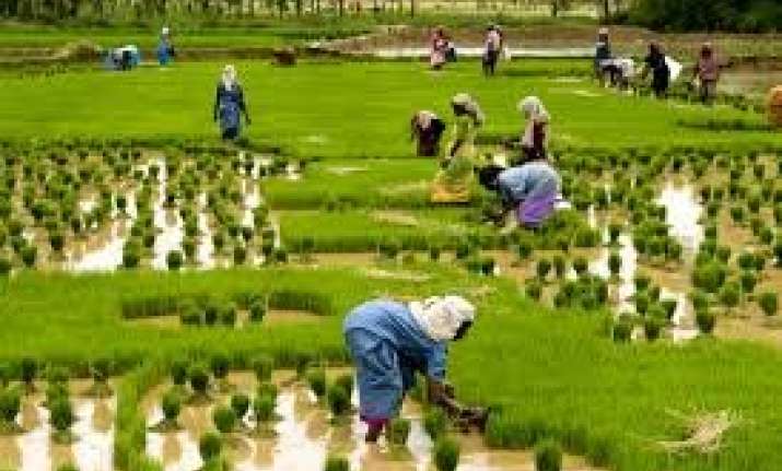 ap to get rs 475 crore from world bank arm for rural project