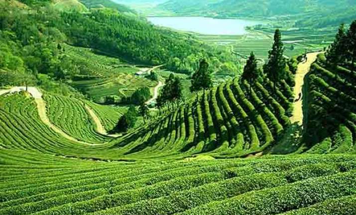 over 13 000 foreigners identified in five years in assam