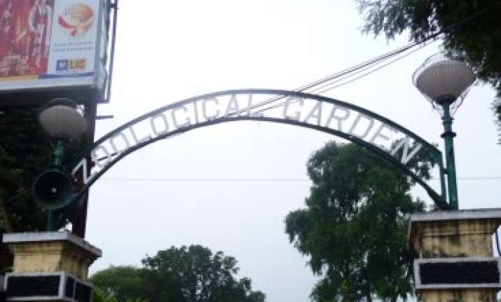kolkata zoo to get giant tortoises from seychelles