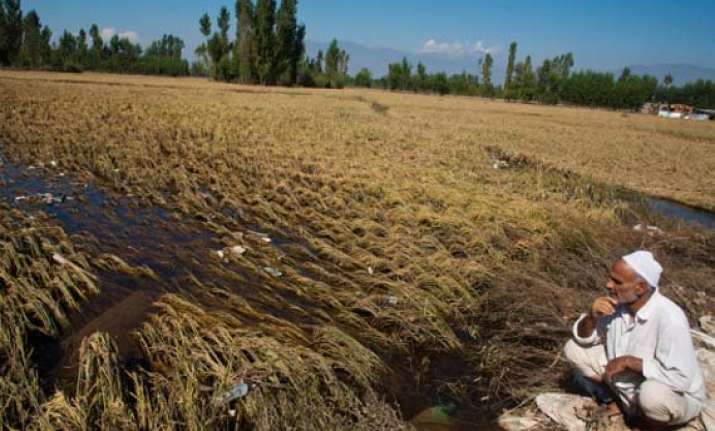 kashmir farmers harvest battered by floods