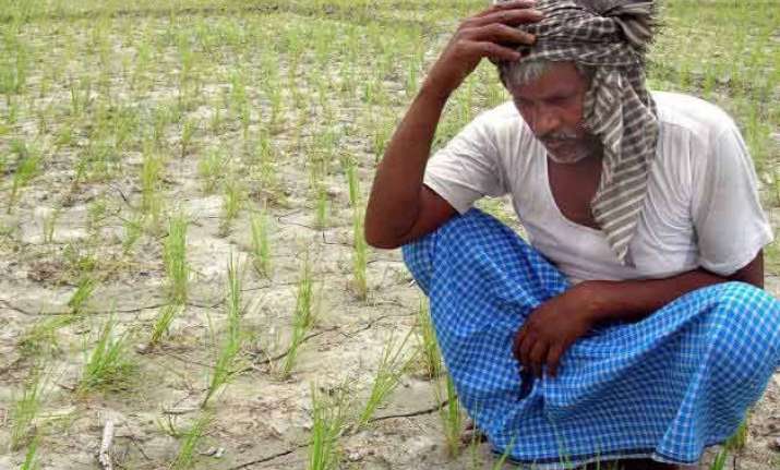 mahrashtra farmer suicides yavatmal collector summoned