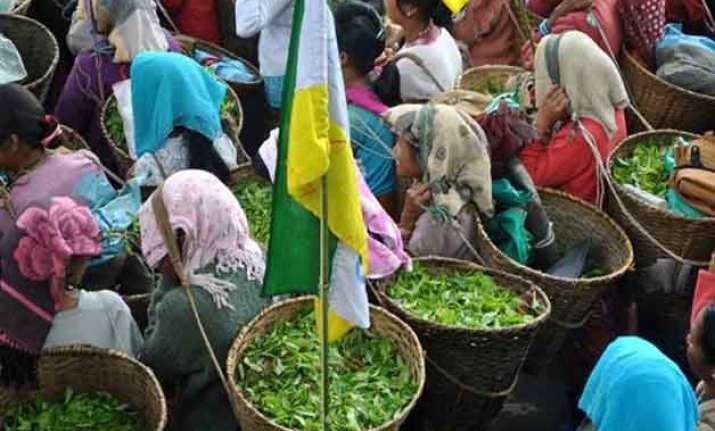 tri partite agreement on tea garden workers wage hike
