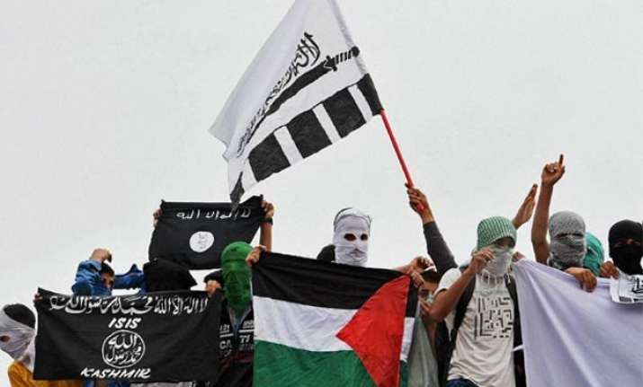 government hints taking action against pakistani flags