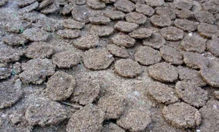 burning of cow dung cakes banned near taj mahal