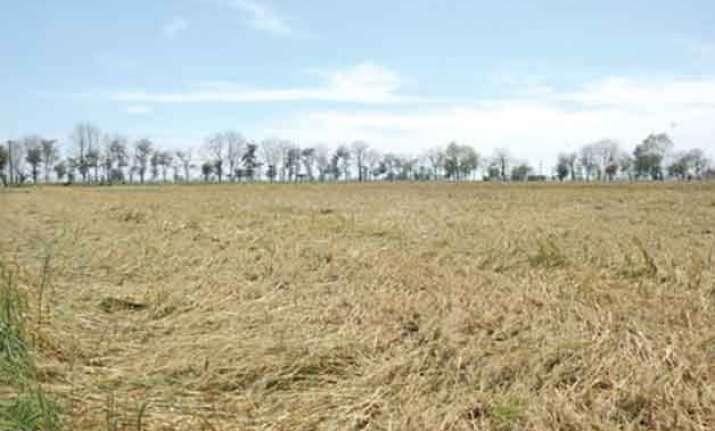 wheat crop hit by hailstorm in punjab