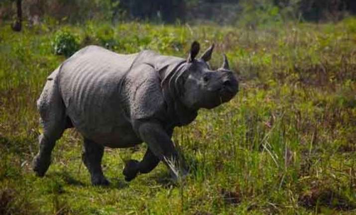 proposal to document kaziranga park s biodiversity