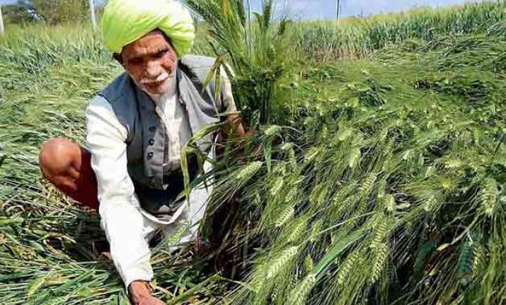 3 farmers die of cardiac arrest over crop loss in up