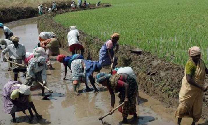mnrega has helped revive agriculture sector study