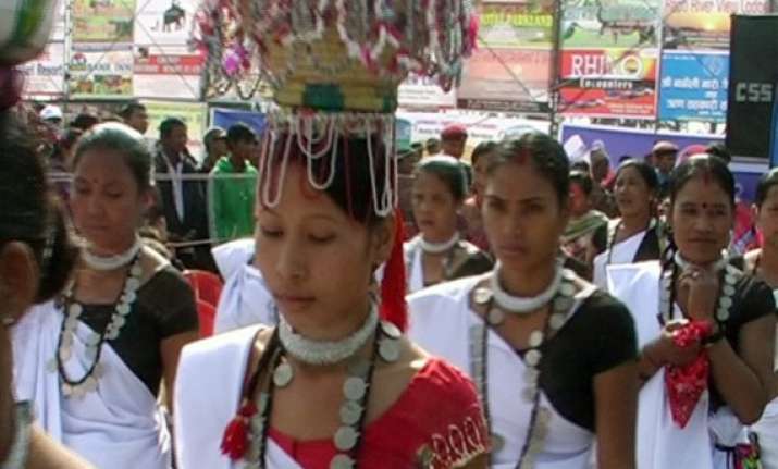 tribals opt for new livelihood to limit forest dependence