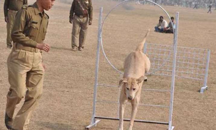 police dog crushed to death by truck in bihar 5 policemen
