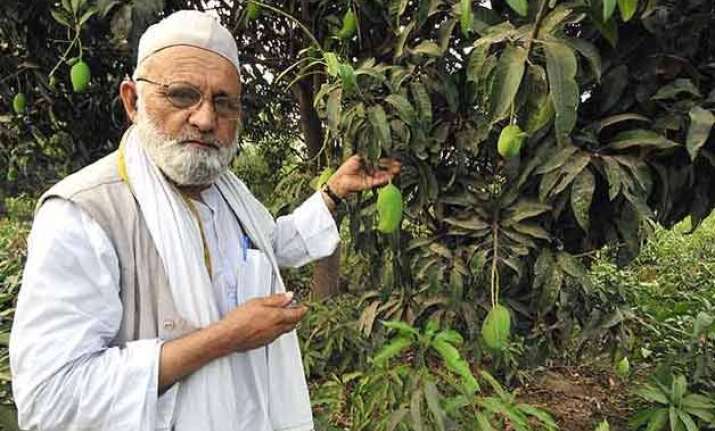 famous mango cultivator haji kalimullah comes out with a