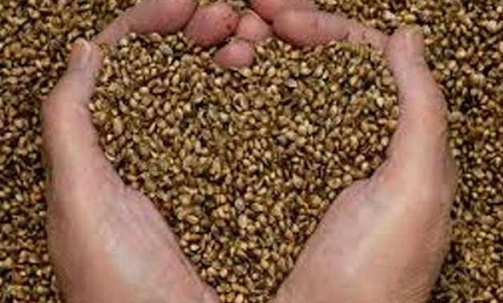 govt to provide free seeds to farmers in uttarakhand