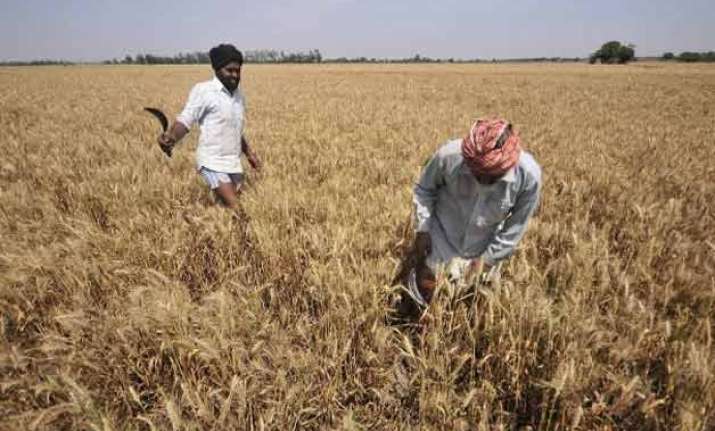 rajasthan 2 more farmers end lives 1 dies of shock due to