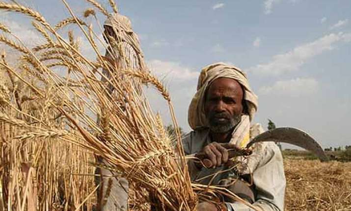 government to sell on priority 27 million tonnes of wheat