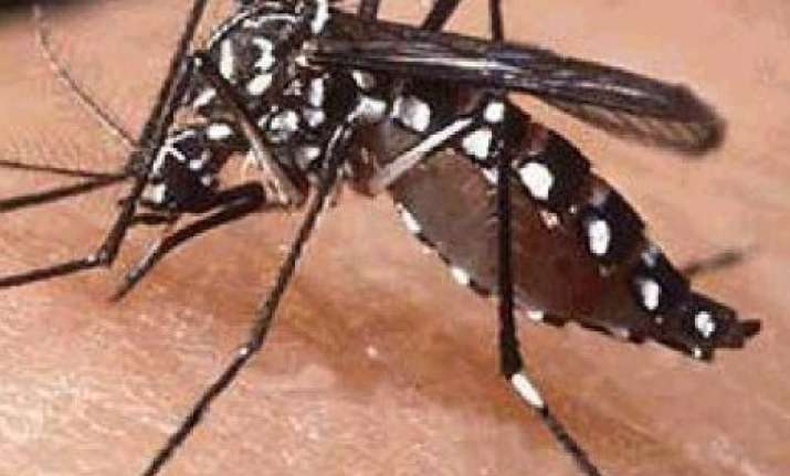 dengue cases in delhi reach 120