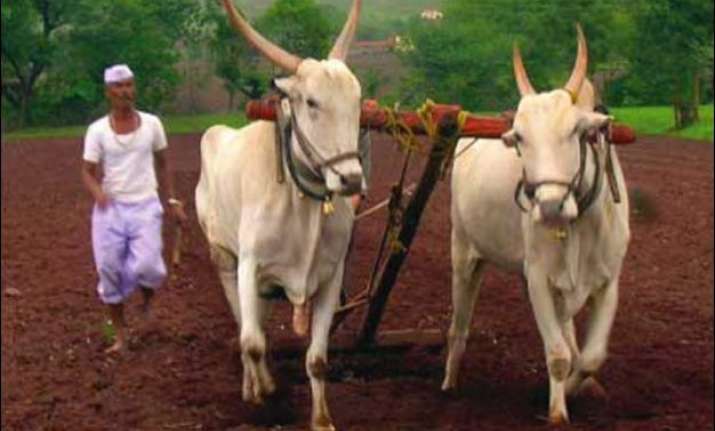 india s real skills challenge 263 million farm workers