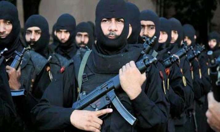 will revise procedures for counter hijack demo on planes nsg
