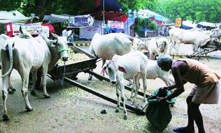 hindu duo move bombay high court challenging ban on beef