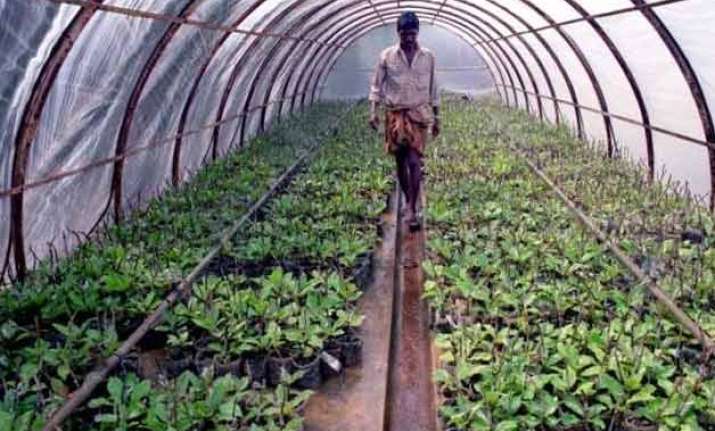 what is the future of farming in india