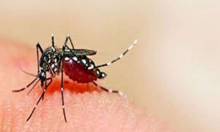 nearly 30 dengue cases in delhi