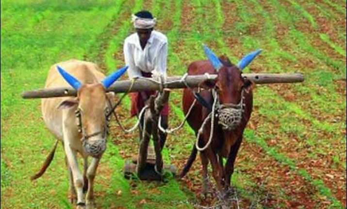 dodgy data farmer suicides drop 67 in 6 years