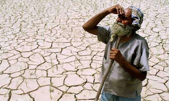 six farmers commit suicide in vidarbha