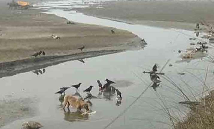 30 bodies found in canal in unnao