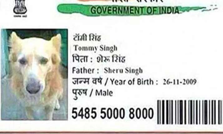 now a dog gets aadhar card