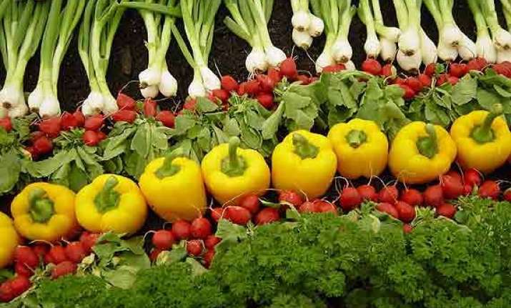 meghalaya to take organic route