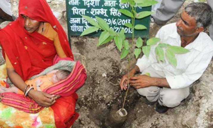 piplantri a village in rajsathan that plants 111 trees on