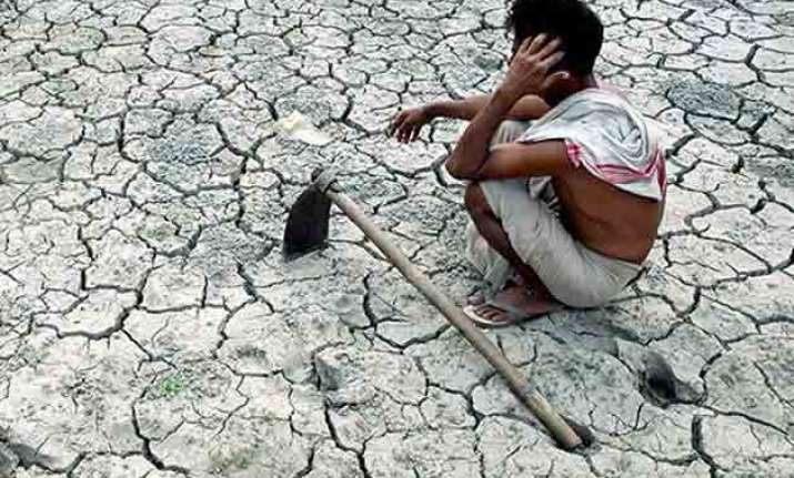 over 5 500 farmers committed suicide last year maharashtra