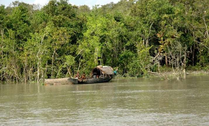 poachers turned conservationists in sunderbans