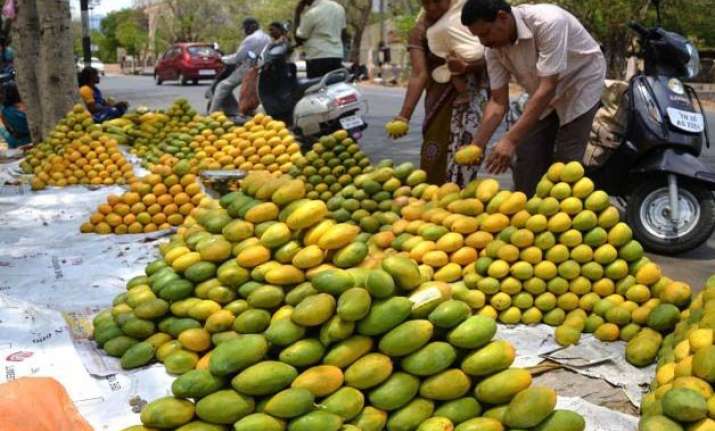 after unseasonal rains aam set to be a vip this season