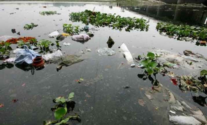 environmentalists welcome green court ruling on yamuna